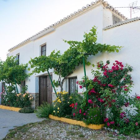 Casa Rural Huerta La Lapa Canete la Real Eksteriør billede