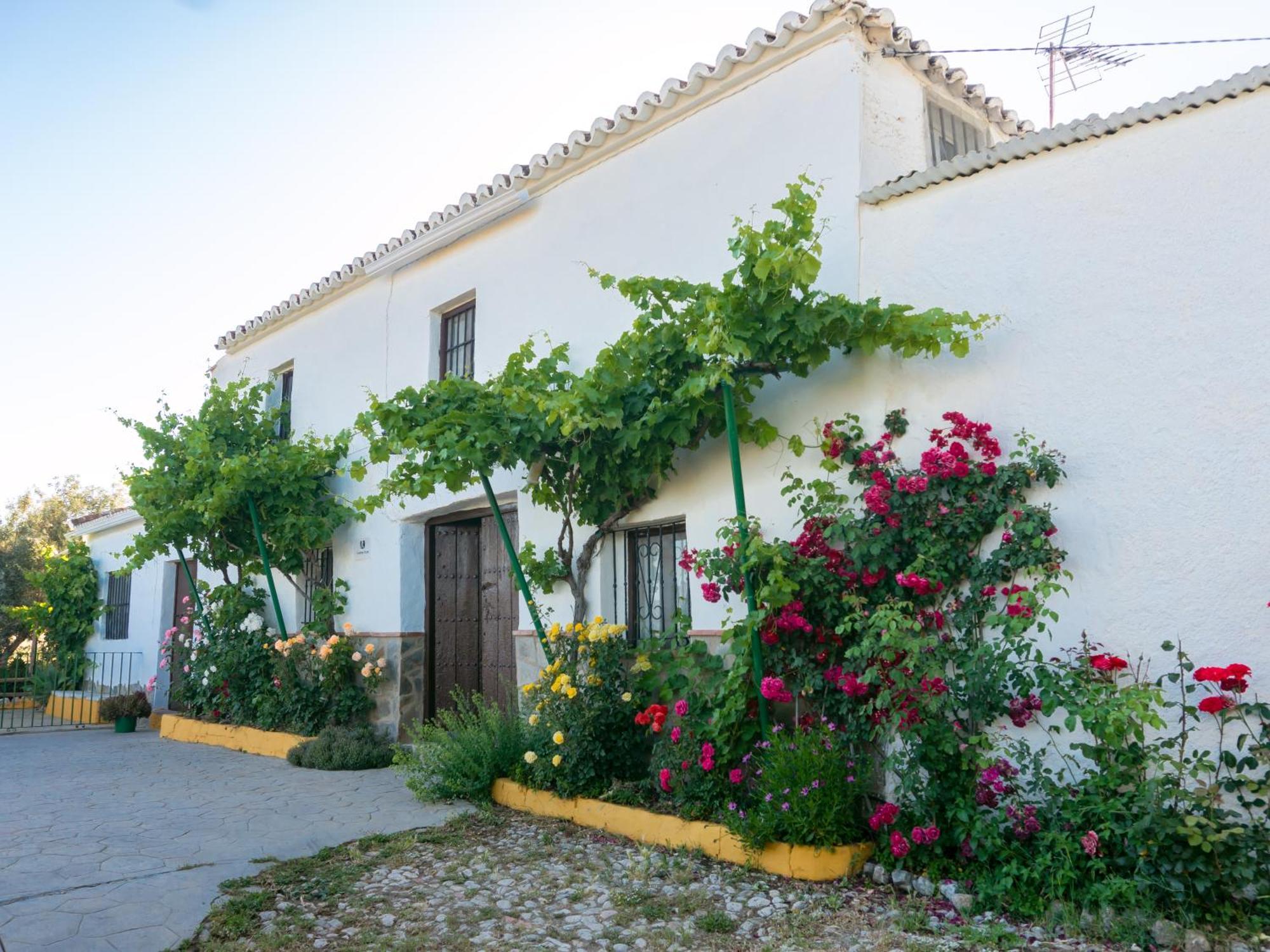 Casa Rural Huerta La Lapa Canete la Real Eksteriør billede